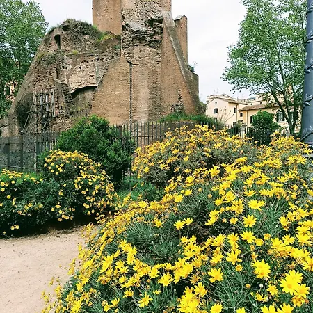 Porta Maggiore 9 Locazione Turistica Alloggio in famiglia Roma