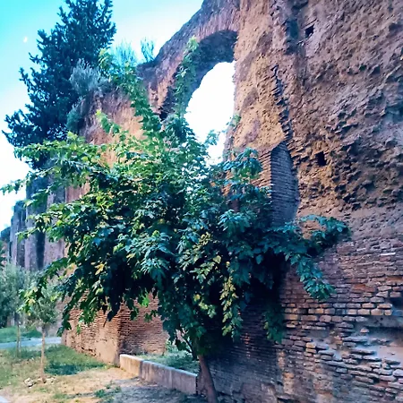 Porta Maggiore 9 Locazione Turistica Pansiyon