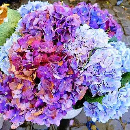 Porta Maggiore 9 Locazione Turistica * Roma